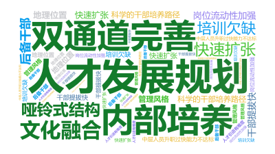 标签云:人才发展规划,双通道完善,内部培养,哑铃式结构,文化融合,后备干部,岗位流动性加强,科学的干部培养路径,快速扩张,干部提拔快,地理位置,培训,文字词云图-wenziyun.cn