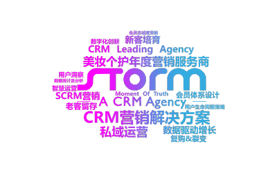 标签云:CRM营销解决方案,美妆个护年度营销服务商,CRM Leading Agency,私域运营,数据驱动增长,会员体系设计,SCRM营销,复购&,文字词云图-wenziyun.cn