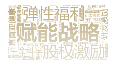 标签云:赋能战略,研发激励,股权激励,直面亚健康,弹性福利,生命科学,敏捷薪酬,薪酬数智化,战略和业务,销售激励,文字词云图-wenziyun.cn