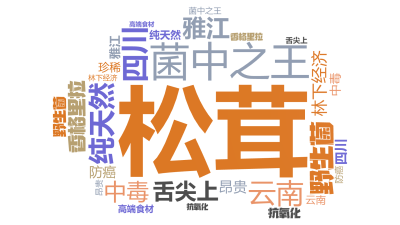 标签云:松茸,纯天然,菌中之王,野生菌,云南,香格里拉,舌尖上,四川,雅江,林下经济,中毒,防癌,抗氧化,高端食材,昂贵,珍稀,文字词云图-wenziyun.cn