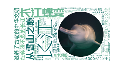 标签云:长江蝶变,长江,从雪山之巅,一路向海奔腾,6300多公里,滋养了古老的中华文明,串起了拥江发展的经济动脉,也留下了厚重的历史文脉,看下方图片,文字词云图-wenziyun.cn