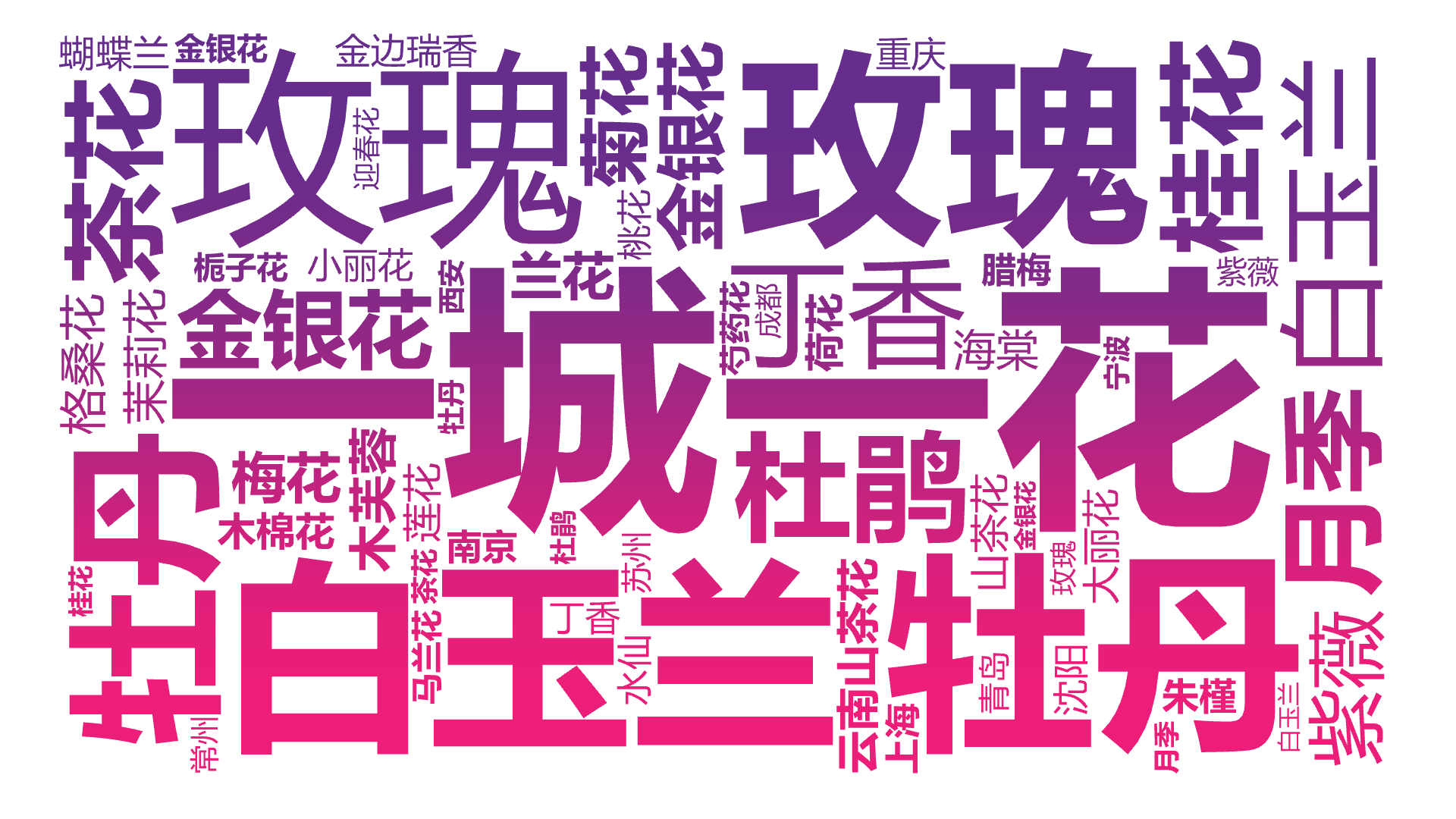 一城一花,牡丹,玫瑰,白玉兰,牡丹,玫瑰,白玉兰,茶花,月季,桂花,金银花,杜鹃,金银花,丁香,紫薇,菊花,格桑花,云南山茶花,木芙蓉,木棉,文字词云图-wenziyun.cn