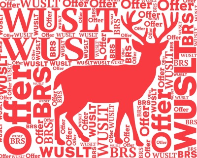 标签云:WUSLT,WUSLT,Offer,WUSLT,Offer,BRS,WUSLT,Offer,WUSLT,Offer,BRS,文字词云图-wenziyun.cn