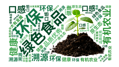 绿色食品,环保,有机农业,健康,品质优秀,口感,溯源,大有发展,原生态,生成的3D文字词云图-wenziyun.cn